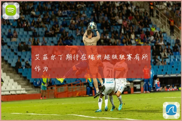 艾菲尔丁期待在瑞典超级联赛有所作为