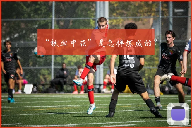 “铁血申花”是怎样炼成的？